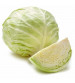Cabbage / Patta Gobi Hybrid US-192 25 grams